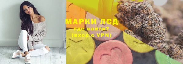 PSILOCYBIN Бородино
