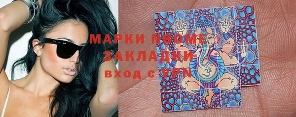 твердый Богородск