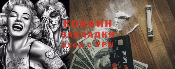 ALPHA PVP Богородицк