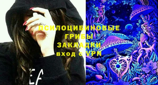 твердый Богородск